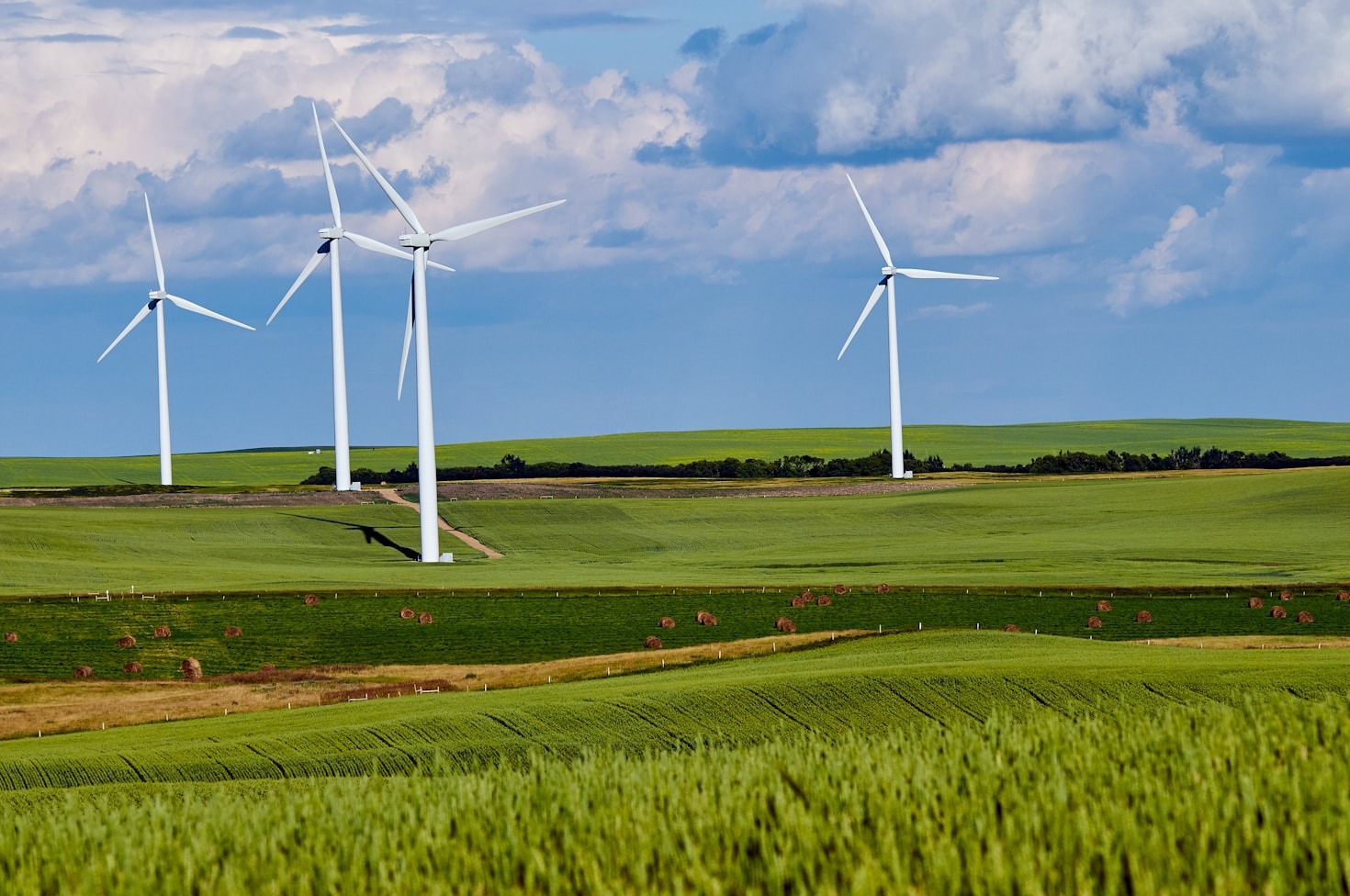 Die BrenErgie UG: Innovator in der grünen Energiebranche